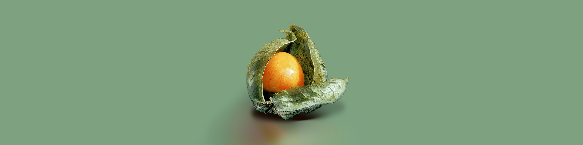 Title Image